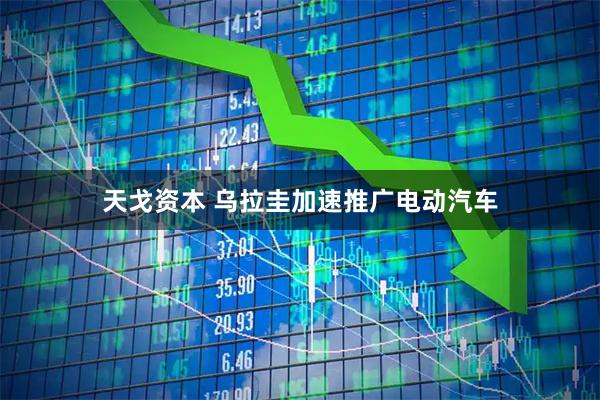天戈资本 乌拉圭加速推广电动汽车