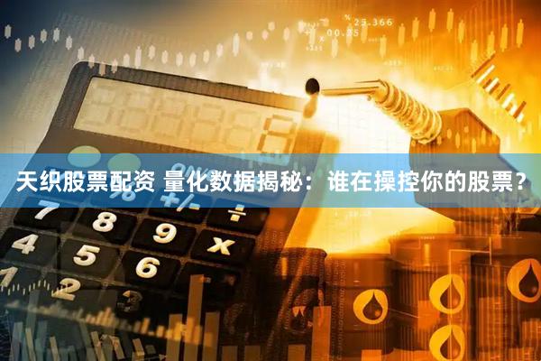 天织股票配资 量化数据揭秘：谁在操控你的股票？