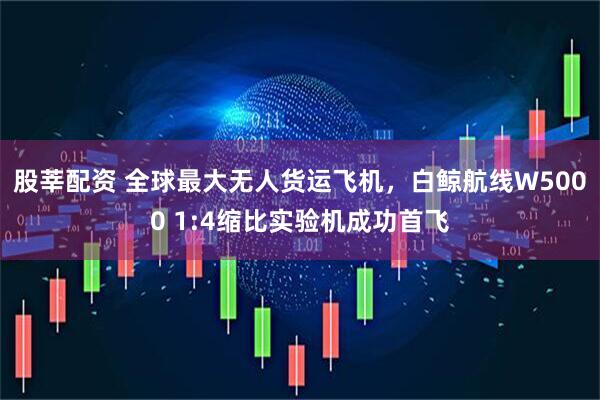 股莘配资 全球最大无人货运飞机，白鲸航线W5000 1:4缩比实验机成功首飞