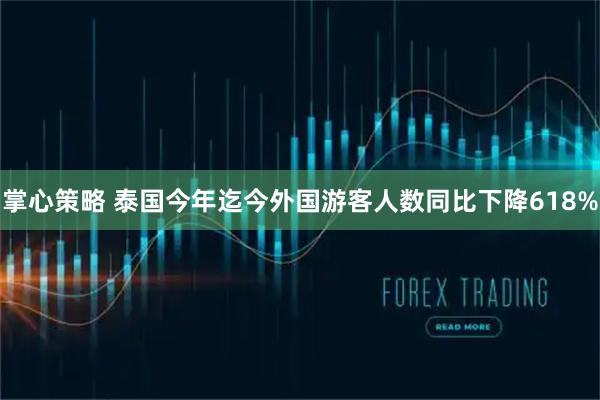 掌心策略 泰国今年迄今外国游客人数同比下降618%