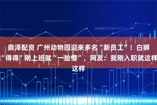 鼎泽配资 广州动物园迎来多名“新员工”！白狮“得得”刚上班就“一脸懵”，网友：我刚入职就这样