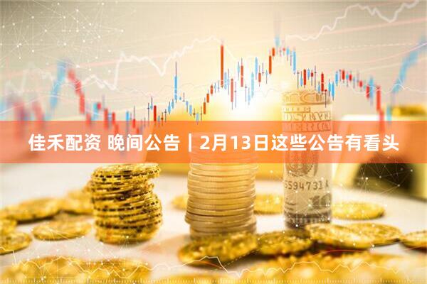 佳禾配资 晚间公告｜2月13日这些公告有看头