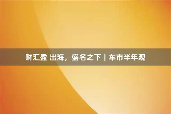 财汇盈 出海，盛名之下｜车市半年观